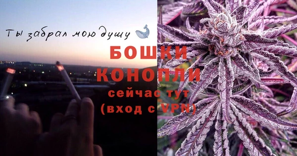 твердый Арсеньев