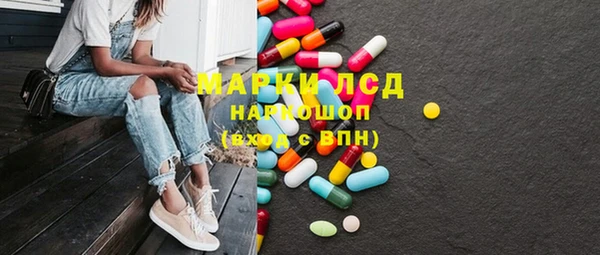 твердый Арсеньев