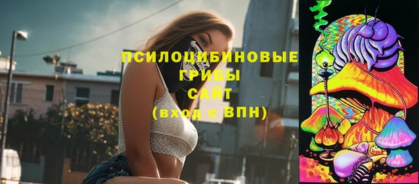 твердый Арсеньев