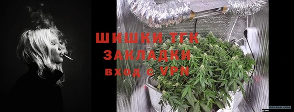 твердый Арсеньев